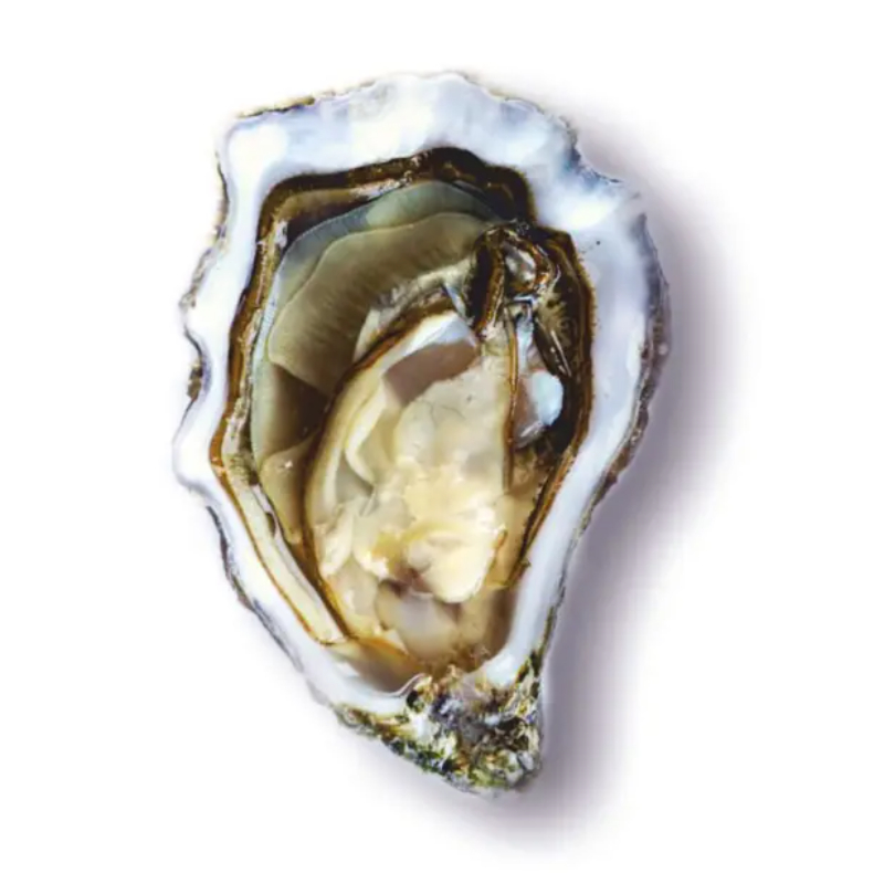 4261432724_ustritsy-gilardo-2