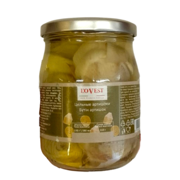 WhatsApp_Image_2026-02-18_at_15.33.02-removebg-preview